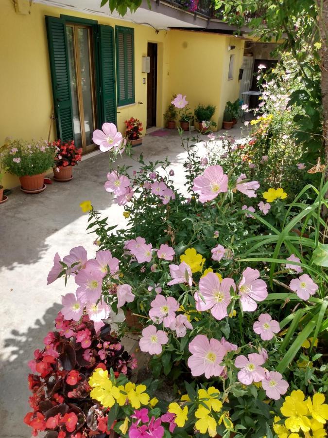 Giallo Sole Colleferro Zewnętrze zdjęcie